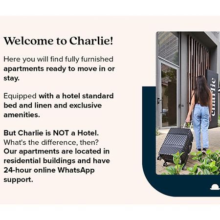 Apartament Charlie Vitrali Moema São Paulo Zewnętrze zdjęcie